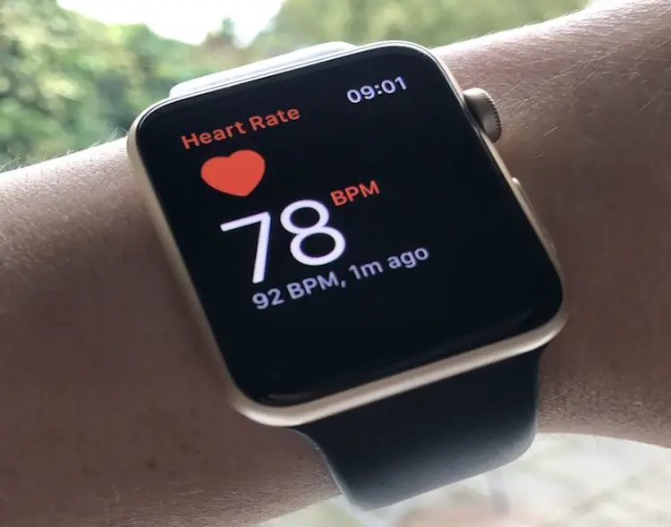 Heart Rate Monitor on an Apple Watch