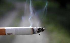 Lit-Cigarette-Butt-Stop-Smoking-Tobacco Alternatives