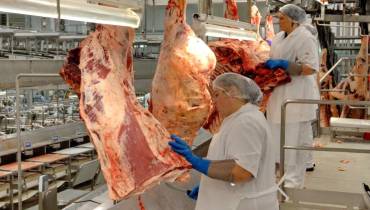 Meat Processing Jobs Bounce Back in Australian Cities After Difficult Pandemic Months