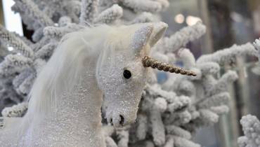 November Is America’s Worst Month for Businesses to Achieve Unicorn Status