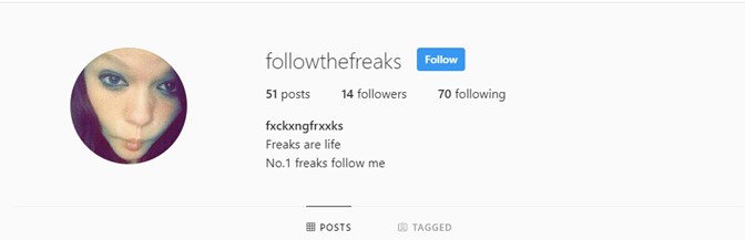 instagram-follower-count.jpg