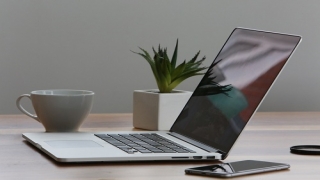 plants-in-workstation_0.jpg