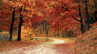 scrientific-ways-nature-improves-creativity1.png