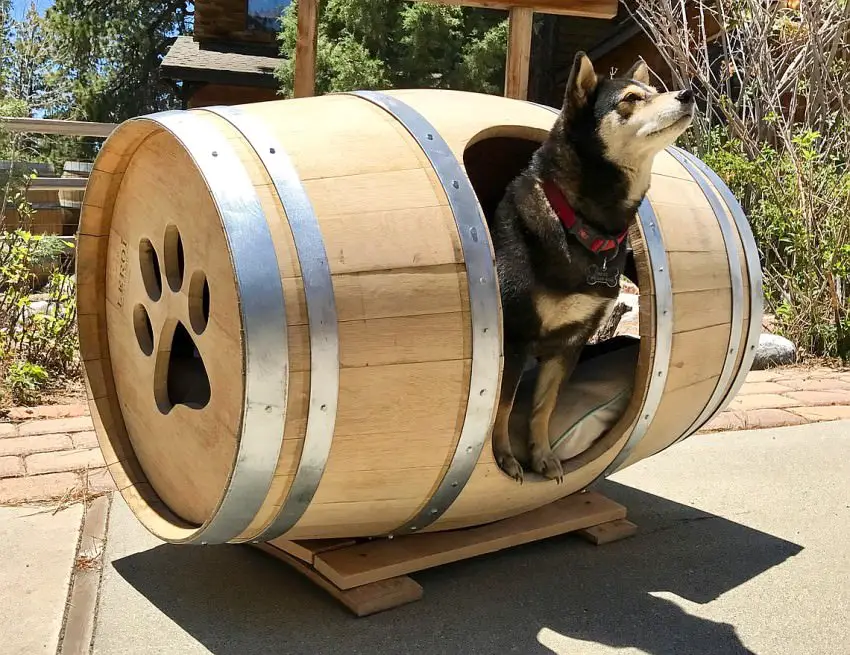 wine-barrel-dog-house-with-paw-windows.jpg