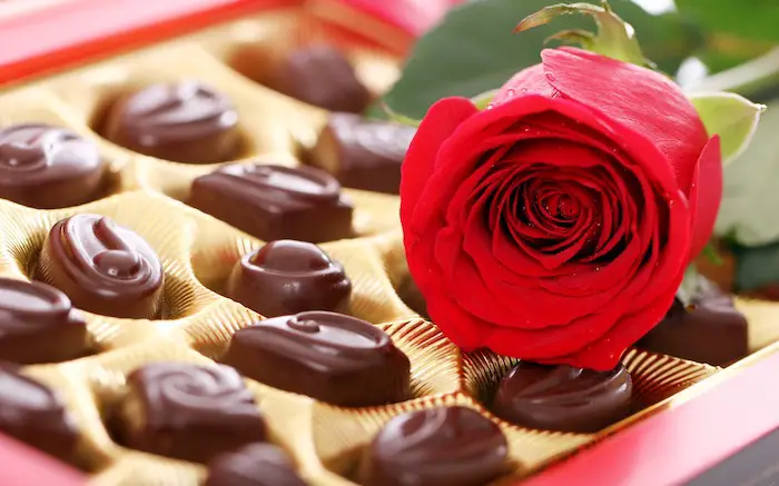 Red rose and homemade chocolate candies