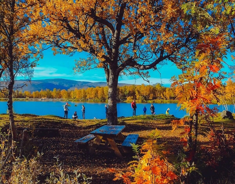 people-outdoors-enjoying-nature