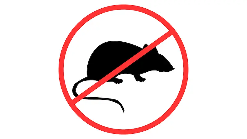 rat-prevention-sign