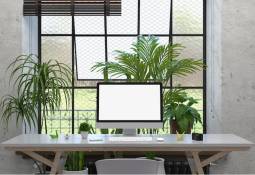 Clean Inviting Home Office - Image for 7 Important Things Every Entrepreneur Needs for Their Home Office