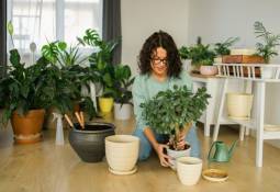 woman-home-putting-home-plants-in-pot