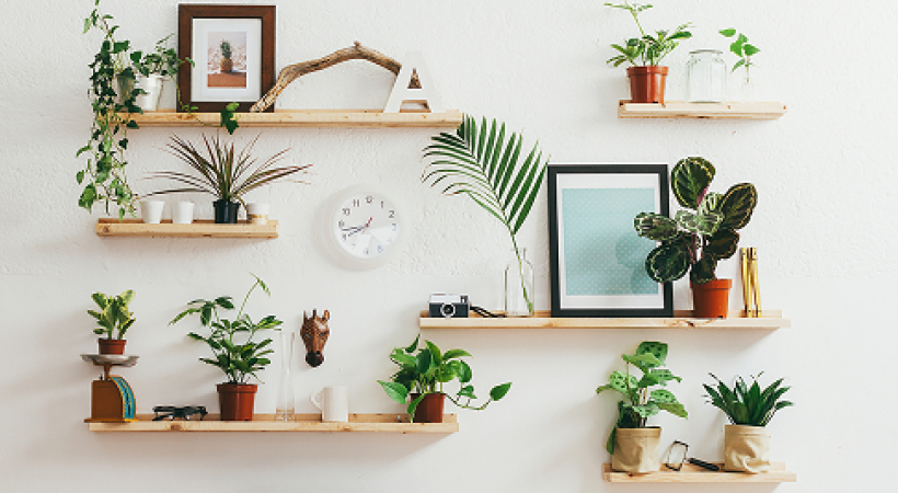 Plants-in-Room-Improve-Office-Air-Quality
