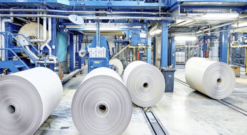 COMPANY SPOTLIGHT: Asia Pulp and Paper Services &amp; Subsidiaries