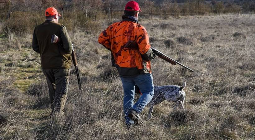 Morning vs. Evening Hunts: 3 Pros &amp; Cons