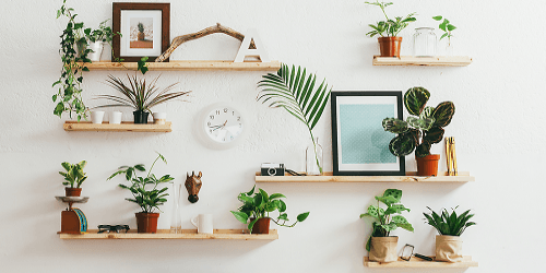 The Best Plants for Improving Your Home Office Air Quality