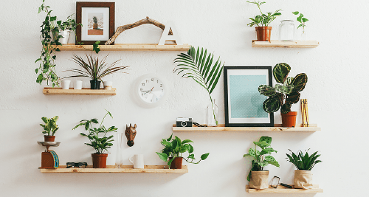 Plants-in-Room-Improve-Office-Air-Quality