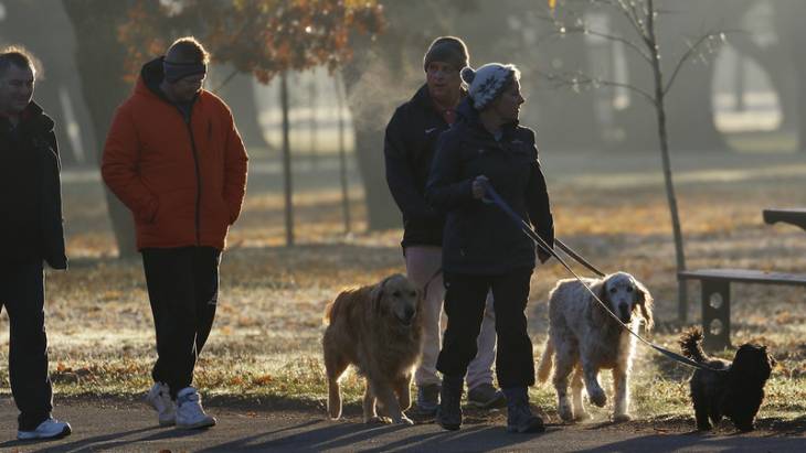 5 Dog Walking Rules for Safe and Enjoyable Walks 