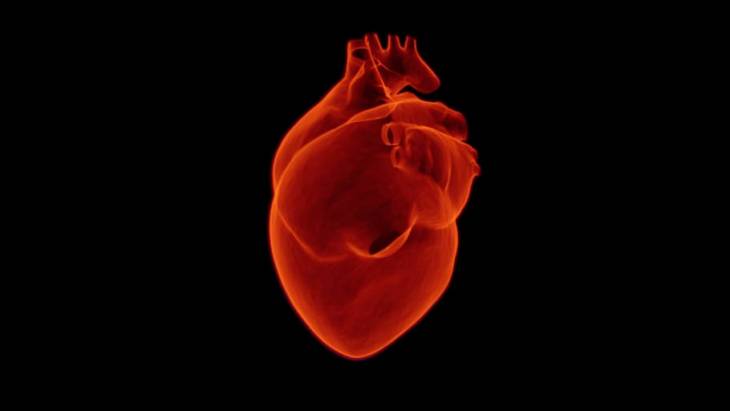 Heart Organ Image for Best Tips (and Apps) for Better Heart Health