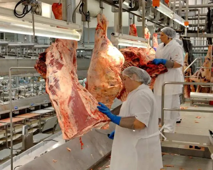 Meat Processing Jobs Bounce Back in Australian Cities After Difficult Pandemic Months