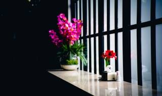 Creative Ideas to Improve Your Home Design Aesthetics with Marble