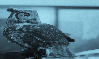 Scientists Say Morning People Are More Successful Than &quot;Night Owls&quot;