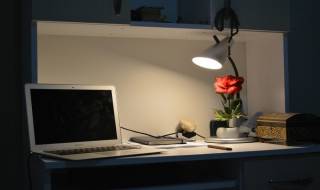Most Productive Colors to Paint Your Home Working Space