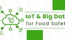 How an Amalgamation of IoT and Big Data Analytics Can Make Our Food Safe