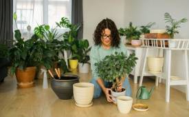 woman-home-putting-home-plants-in-pot