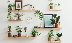 Plants-in-Room-Improve-Office-Air-Quality