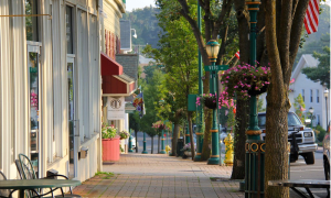 How to Deal with Recurrent Allergies in Places like Brandford, CT