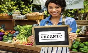 woman_smiling_entrepreneur_online_grocery_business