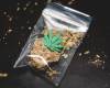 When Is CBD Legal and When Isn&#039;t It?