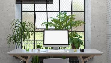Clean Inviting Home Office - Image for 7 Important Things Every Entrepreneur Needs for Their Home Office