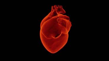 Heart Organ Image for Best Tips (and Apps) for Better Heart Health