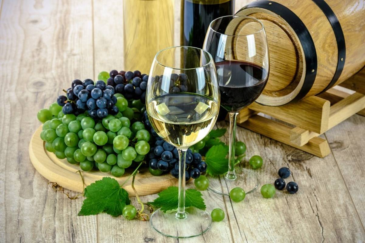 The Different Types of Wine Explained in a Nutshell