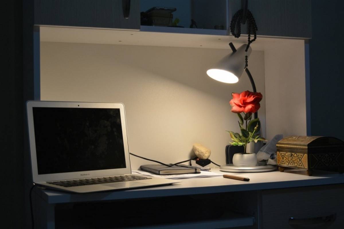 Most Productive Colors to Paint Your Home Working Space
