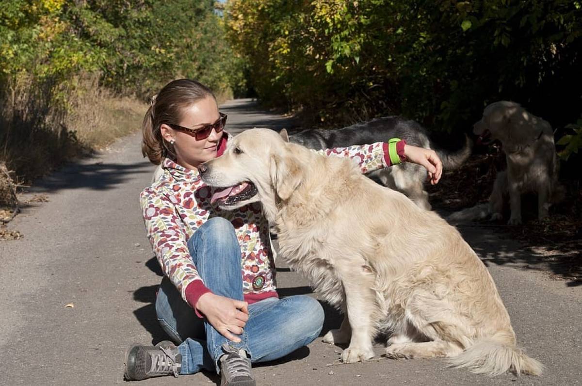 GPS Tracker Tractive Unveils New Feature to Keep Pets Fit GPS Tracker Tractive Unveils New Feature to Keep Pets Fit