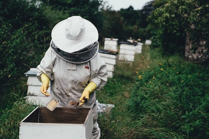 a_bee_farmer_harvesting_honey_for_sale.jpg