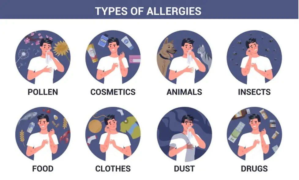 allergy-types-j67hg6.png