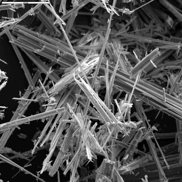 asbestos_magnified_image.jpg