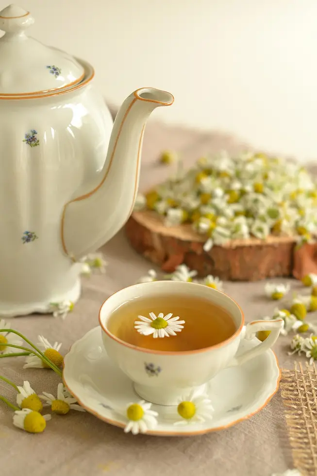 chamomile_herb.png
