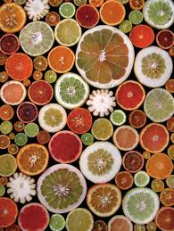 citrus_slices_enclose_lemony_flowers..png