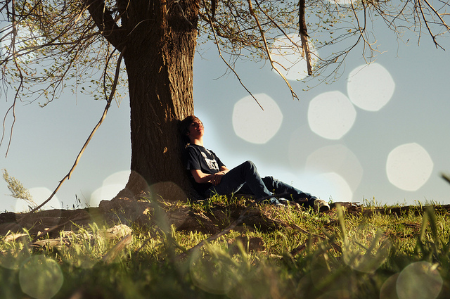 day-dreaming-under-tree.jpg