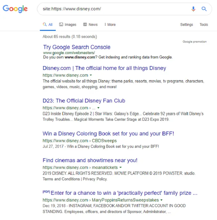 google-search-only-one-website.png