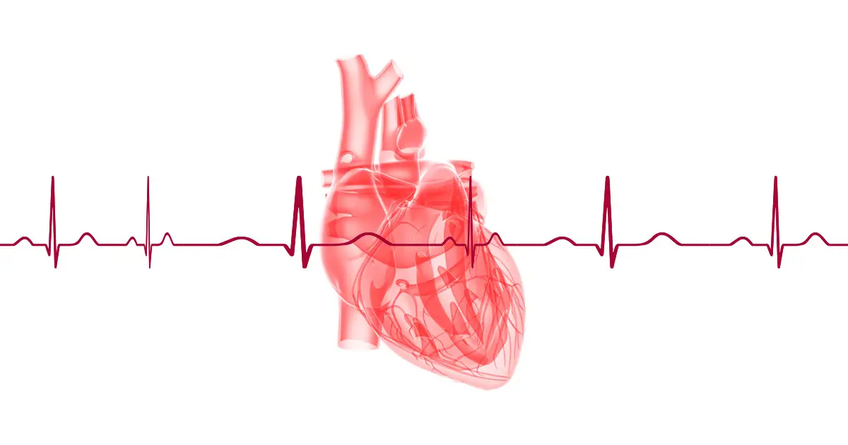 heart-rhythms-wave-forms.jpg