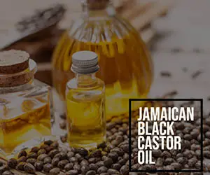 jamaican-black-castor-seeds.jpg