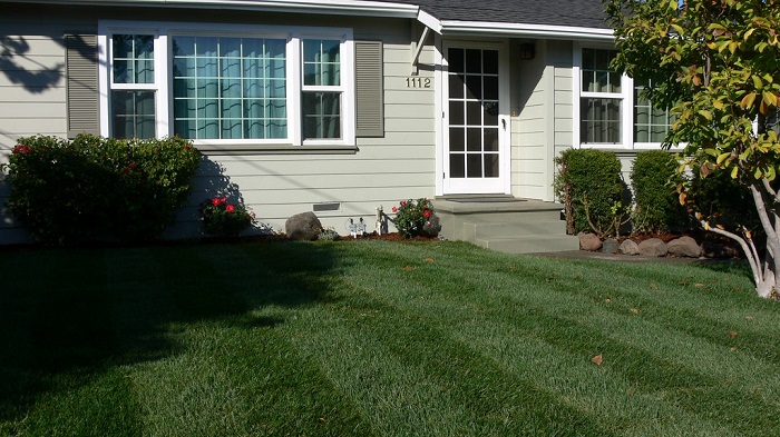 landscaping-tidy-frontyard_17fe96f1d0_b.jpg