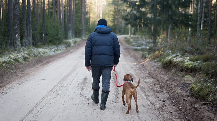 man_walking_brown_short_coated_dog.jpg