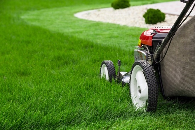 mower-clean-maintain-yard.jpg