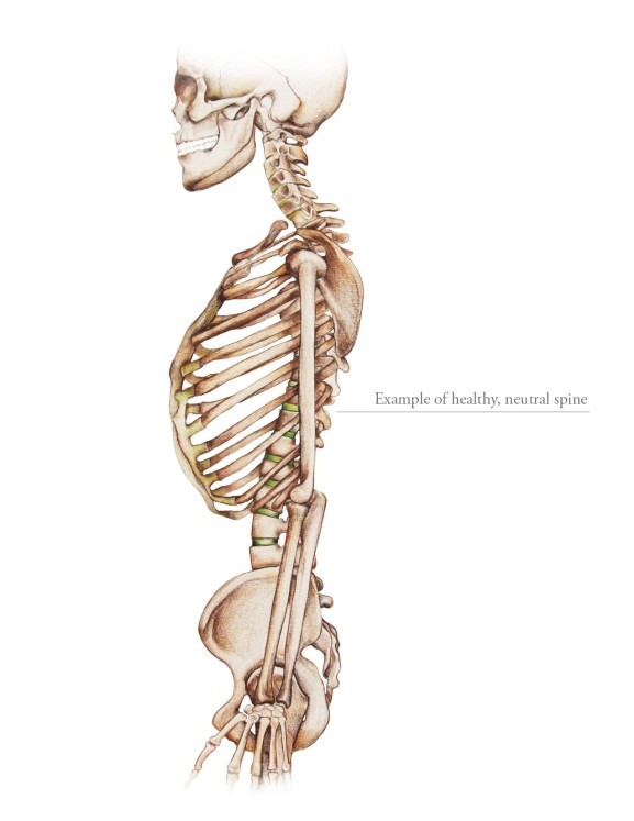 nautral-spine-alignment-1.jpg