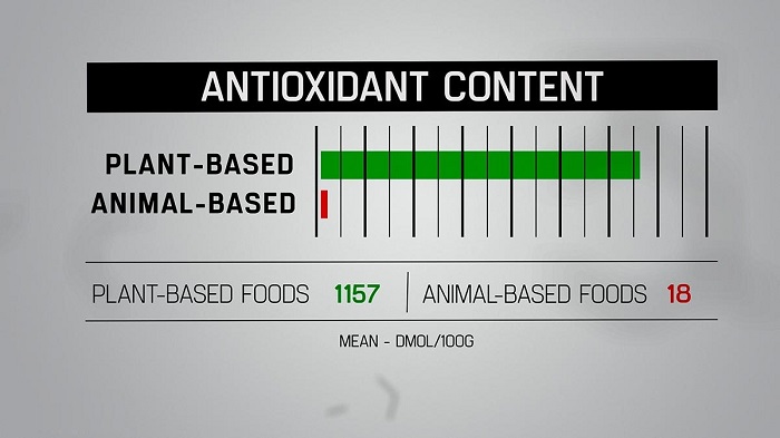 plant-based_advantage.jpg