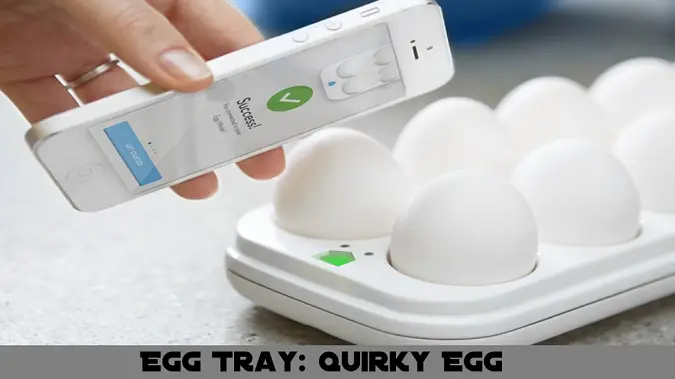 smart_egg_tray.png